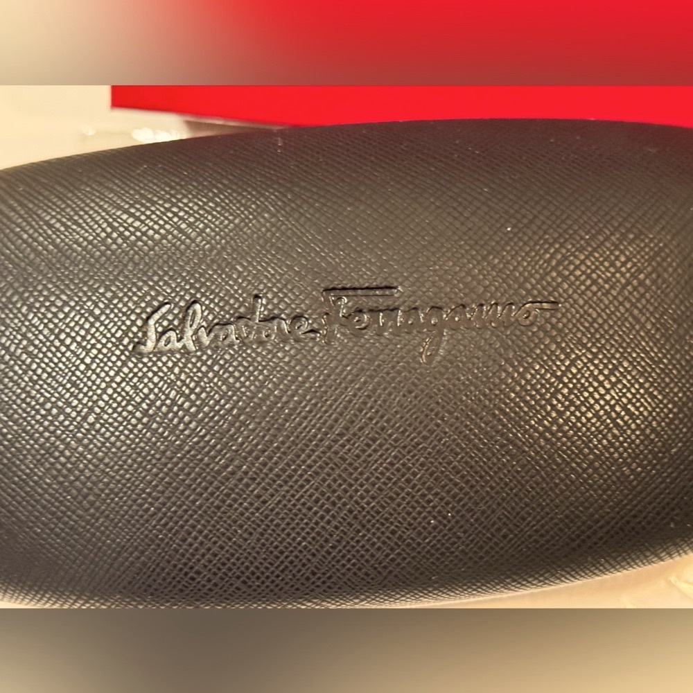 FERRAGAMO unisex sunglasses, NWT - Picture 13 of 15